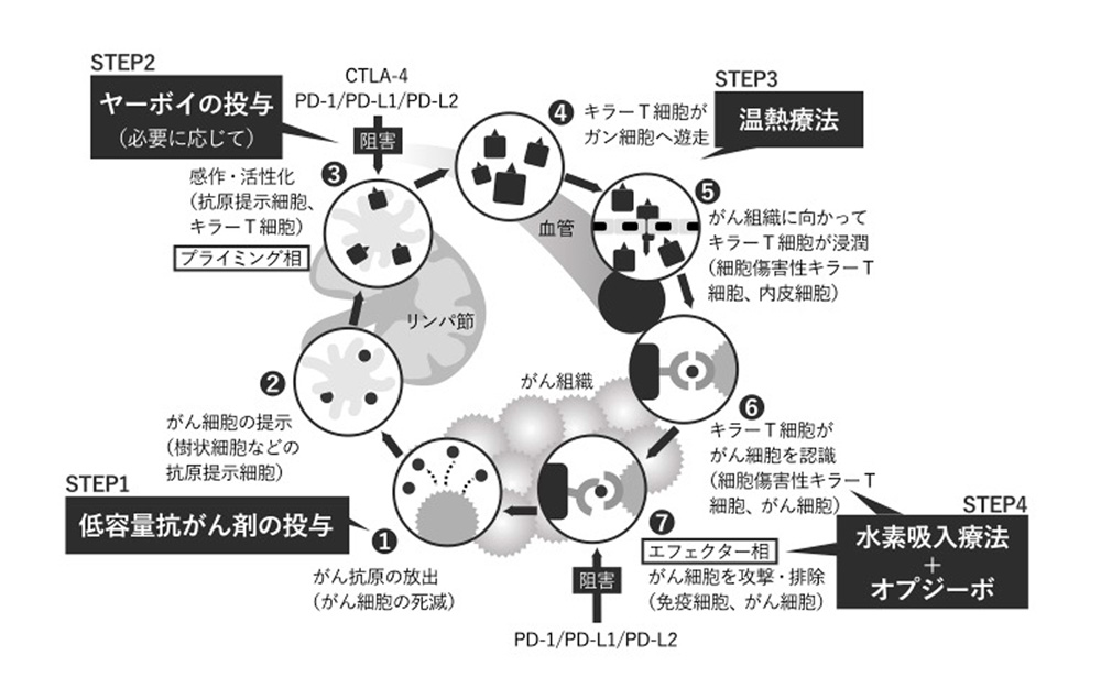 がん免疫サイクルと免疫統合医療の仕組み